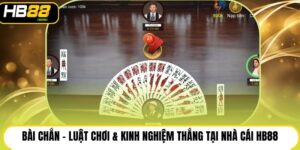 Bài Chắn - Luật Chơi & Kinh Nghiệm Thắng Tại Nhà Cái HB88