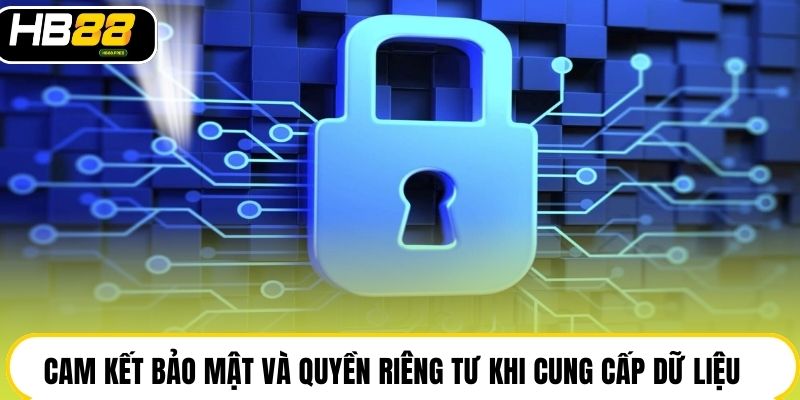 Cam kết bảo mật và quyền riêng tư khi cung cấp dữ liệu
