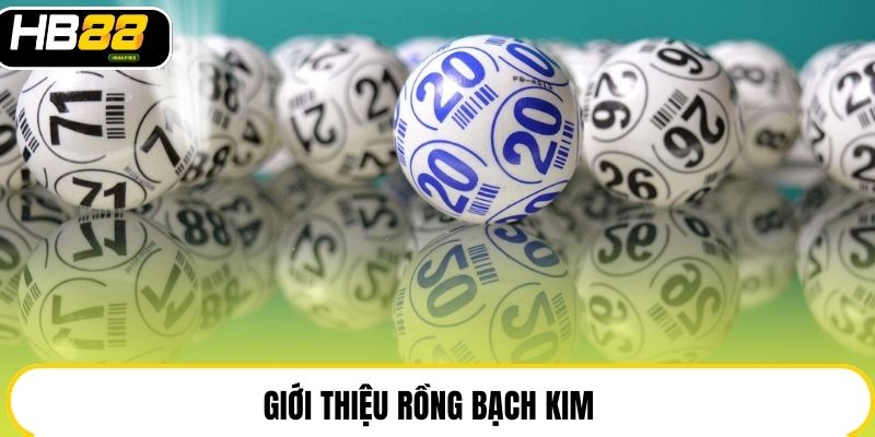 Giới thiệu Rồng bạch kim