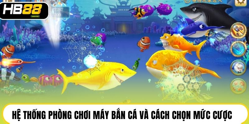 Hệ thống phòng chơi máy bắn cá và cách chọn mức cược