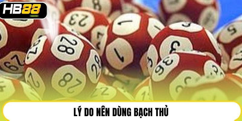 Lý do nên dùng bạch thủ